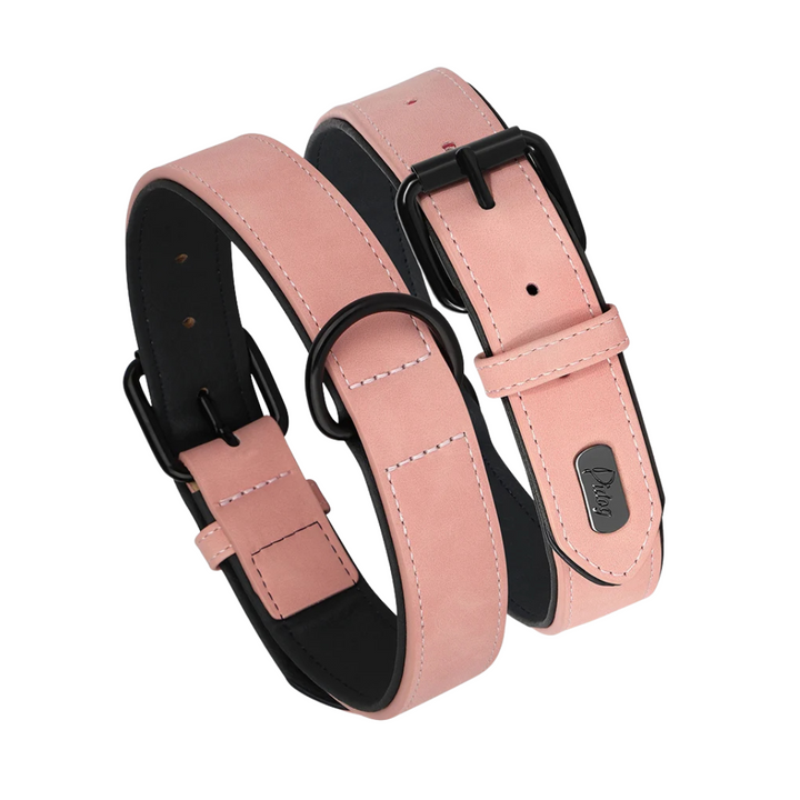 Blue padded PU leather dog collar, a strong and comfortable pet accessory with sturdy metal hardware.