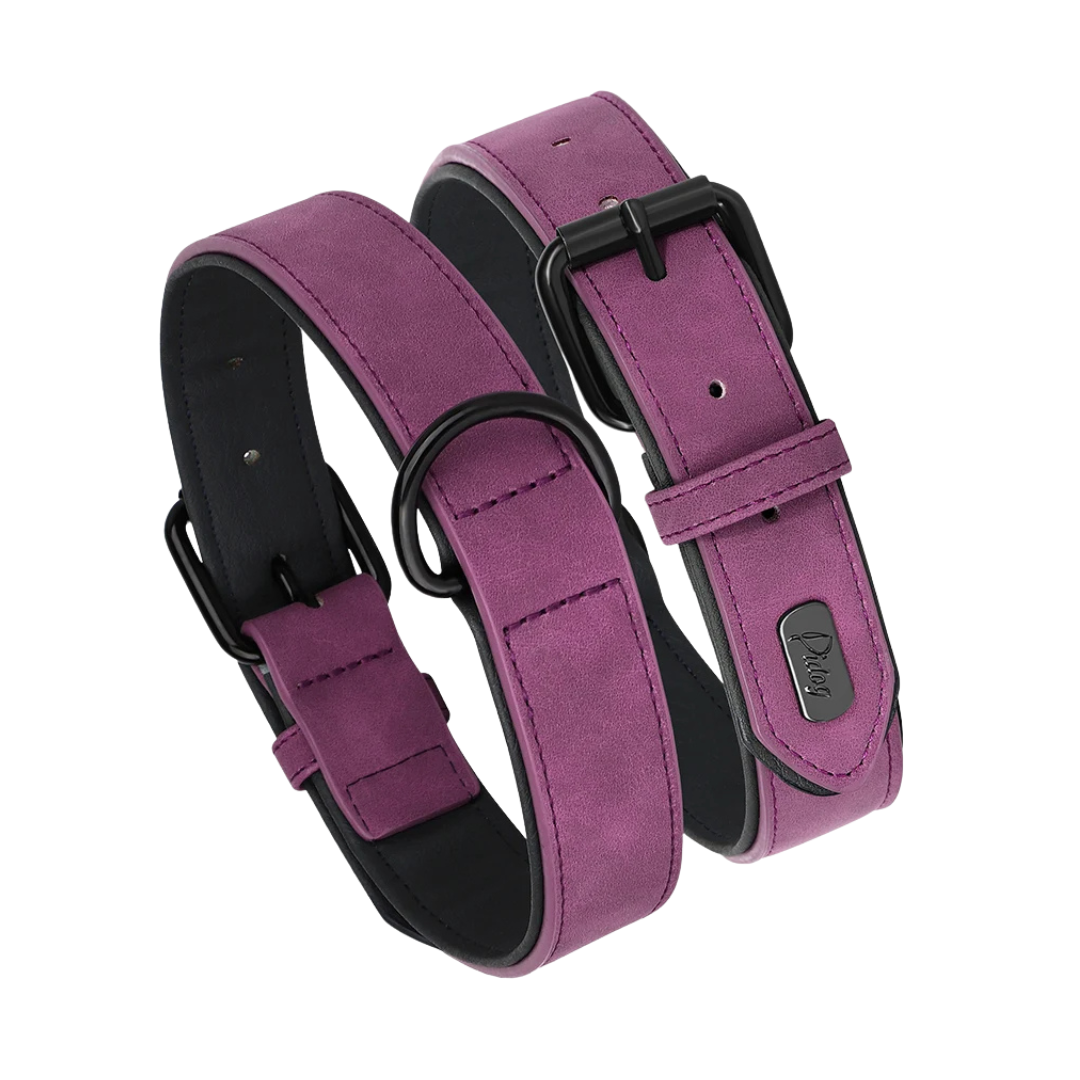 Unisex green padded PU leather dog collar, designed for comfort and durability with a secure metal buckle.