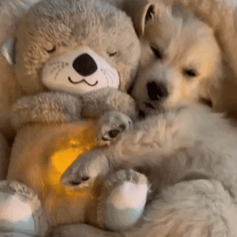Kids' and adults' soothing plush toy, a soft comfort companion with gentle light, perfect as a thoughtful gift.