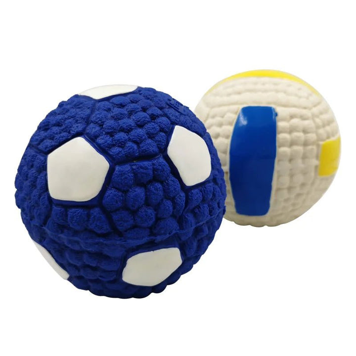 Dog happily playing fetch with a bouncy squeaky latex toy ball outdoors.