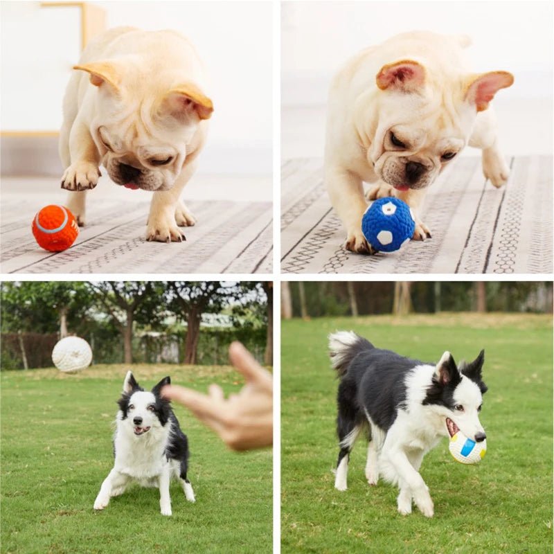 Dog chewing on a textured latex toy ball designed for dental cleaning and play.