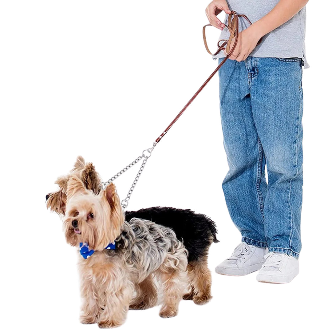Tangle-free stainless steel double dog leash, ideal for walking two dogs simultaneously