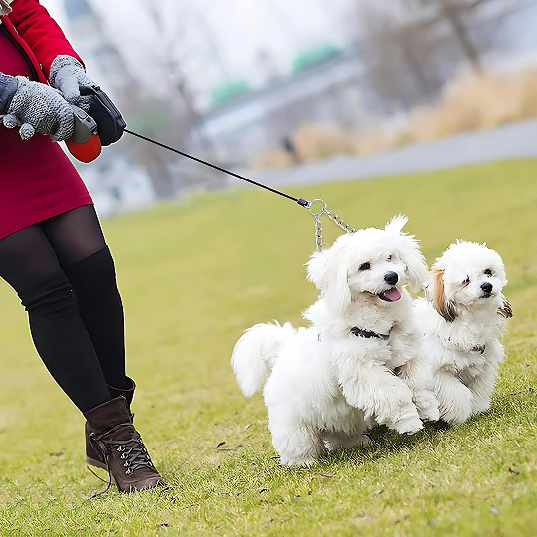Durable double dog leash made of stainless steel, perfect for pet training and walking