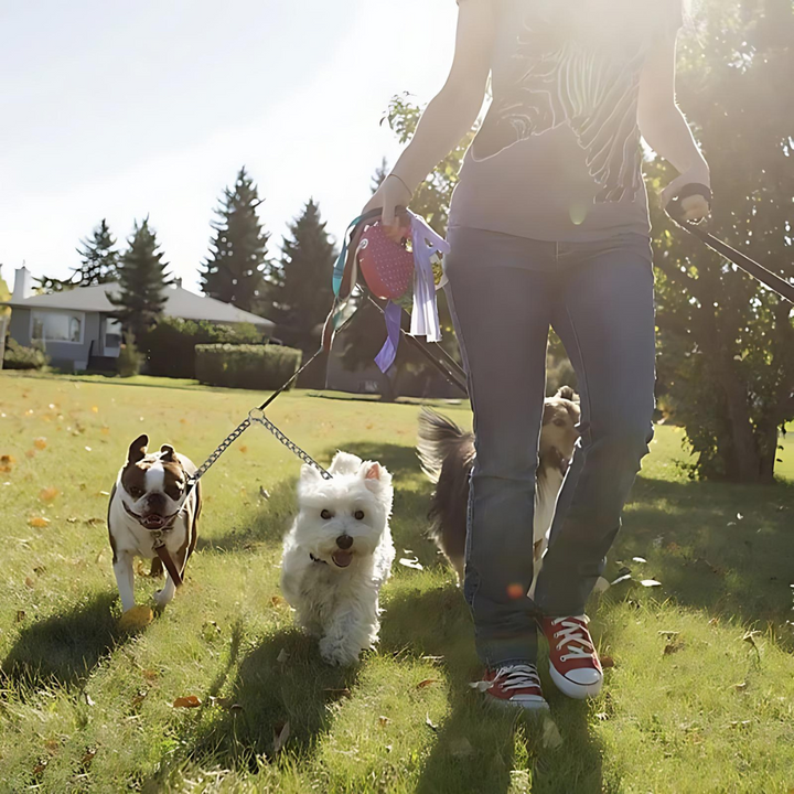 Silver stainless steel double dog leash, designed for tangle-free and effective dog training