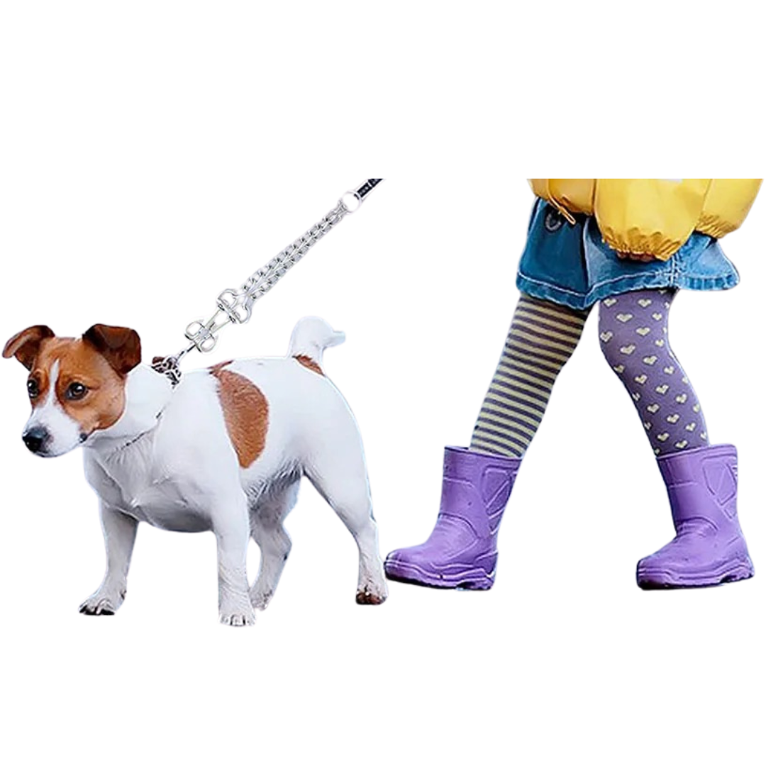 Pet supplies: unisex stainless steel double dog leash for large and medium dog walking