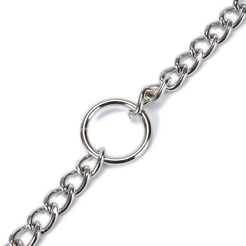 Training leash with double stainless steel clips for tangle-free control of two dogs