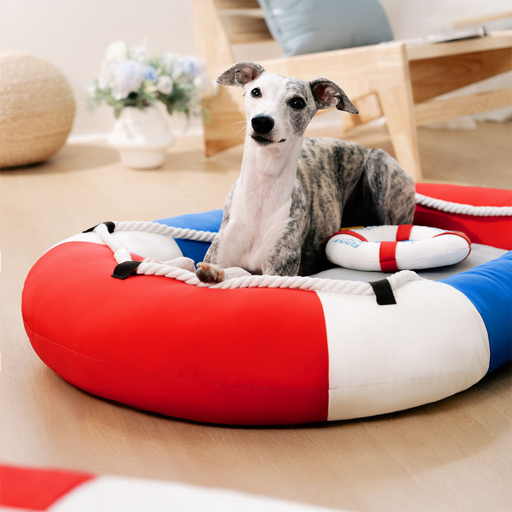 Indoor outdoor waterproof pet bed, cooling, blue, for summer pet comfort