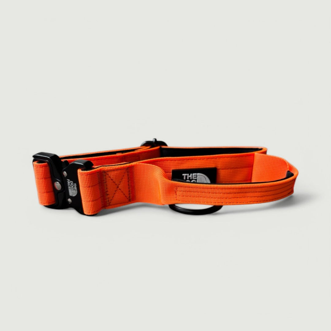 Heavy-duty tactical dog collar, black nylon with soft padding, ideal for pet training and control