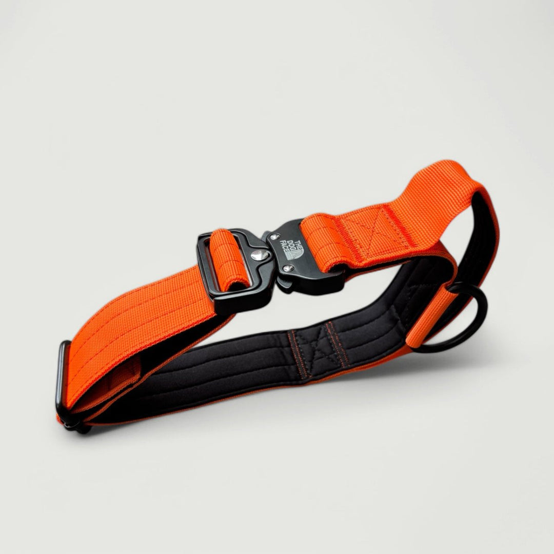 Padded tactical dog collar for large breeds, quick release, robust nylon for outdoor adventures