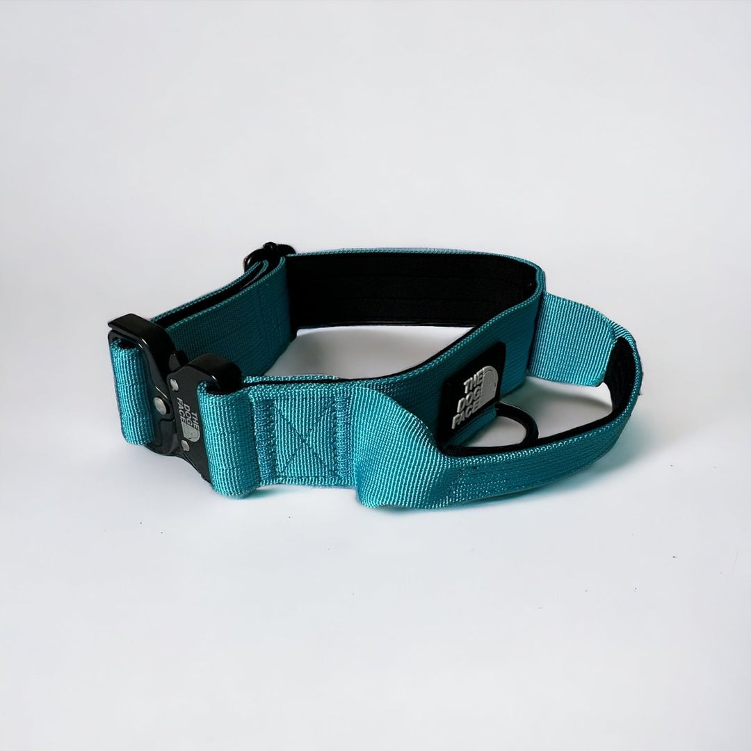 Durable tactical pet accessory: nylon training collar with comfortable padding and secure buckle