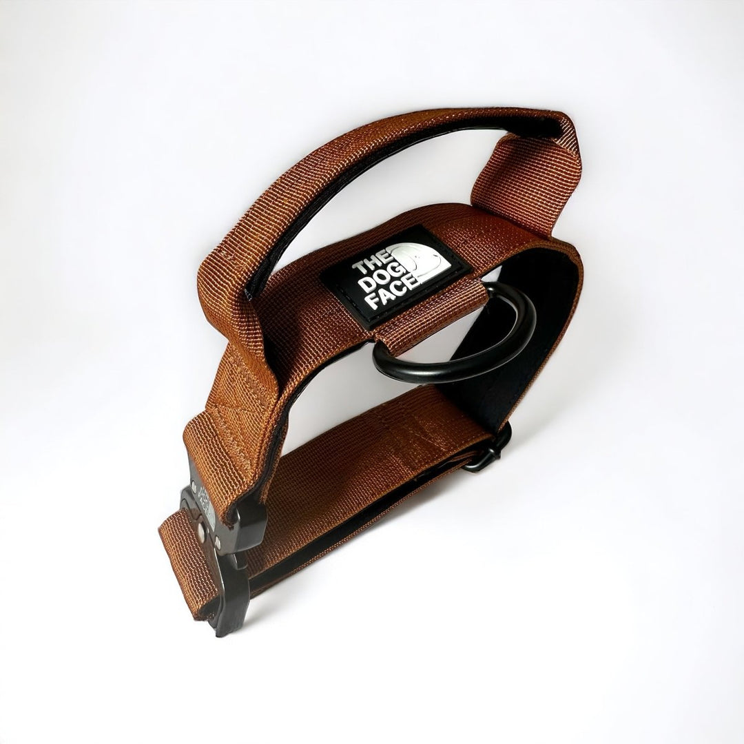 Outdoor tactical dog collar, quick release, padded for comfort, strong nylon for pet safety