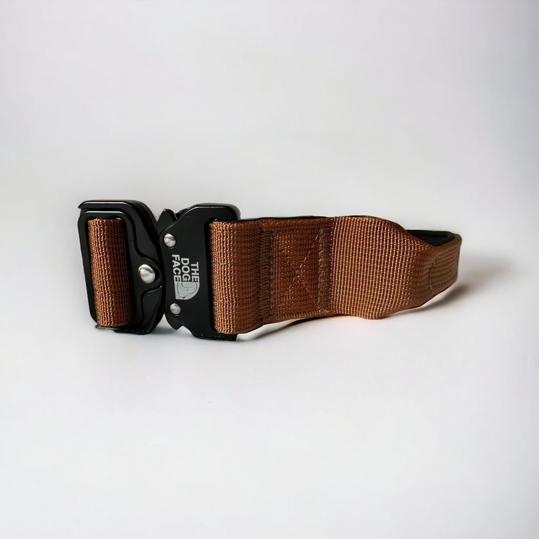 Robust tactical dog collar, black nylon, padded lining, quick release for easy on/off during training