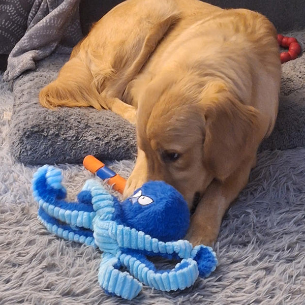 Close-up of blue octopus plush dog toy with textured limbs, built for tough chewers