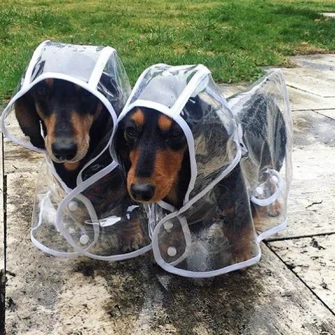 Unisex transparent waterproof dog raincoat for small to medium pets. Keep your dog dry in all weather.