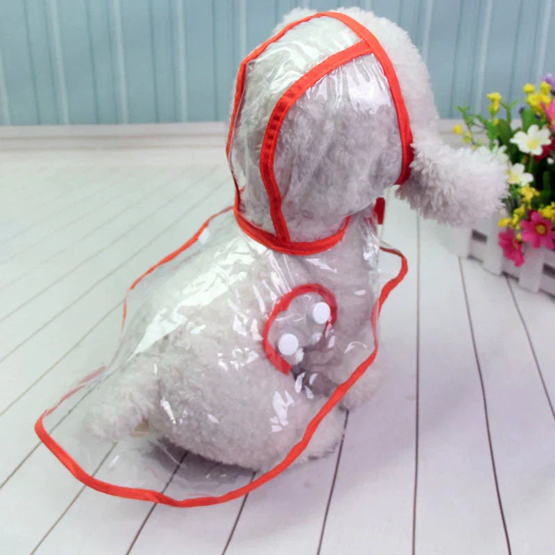 Waterproof transparent dog coat on a black lab, highlighting full coverage. Stylish pet apparel.