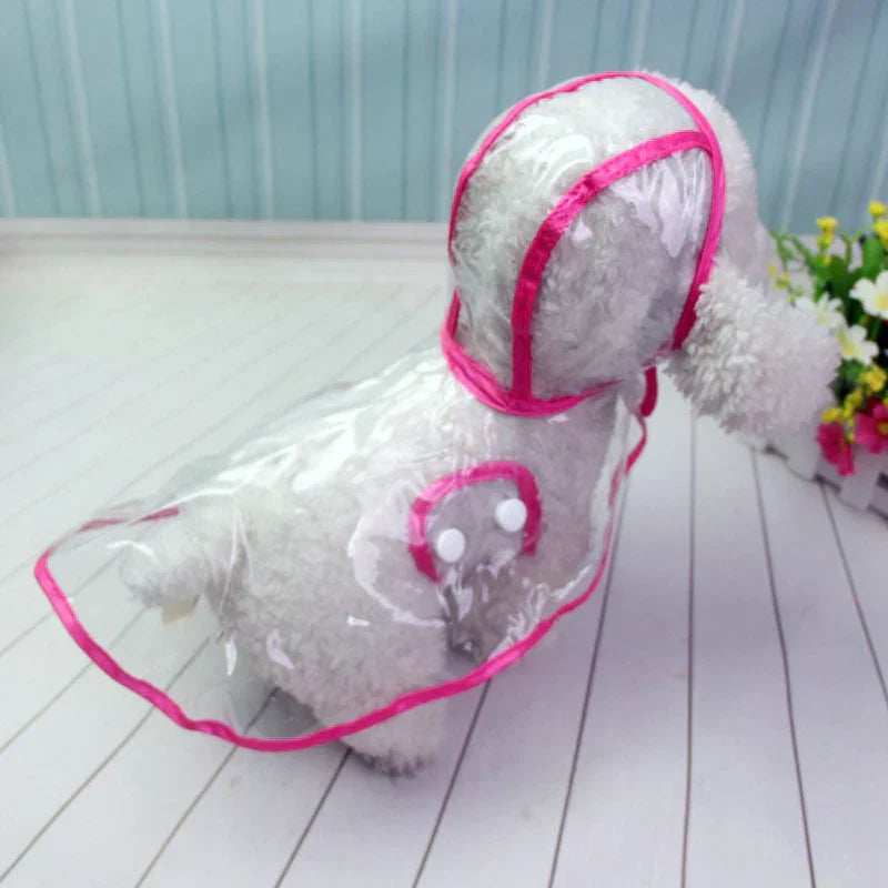 Collection of transparent dog raincoats in various sizes, for all dog breeds. Pet essentials.
