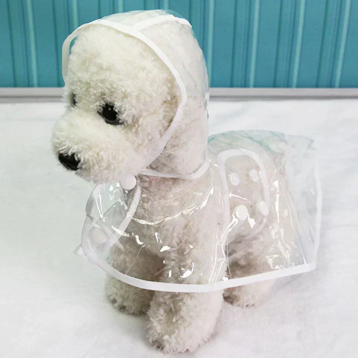 Dog sitting patiently in a clear raincoat, ready for a rainy walk. Practical and fashionable.