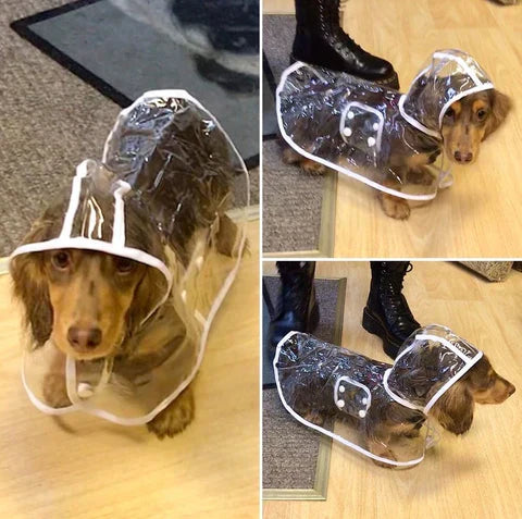 Clear dog raincoat with hood, showing full body coverage. Ideal pet rain gear for walks.