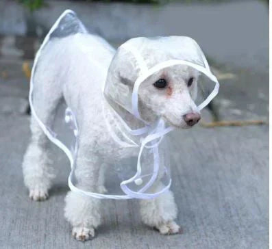 Dog wearing a clear rain jacket, suitable for all breeds. Stay dry with this pet clothing.