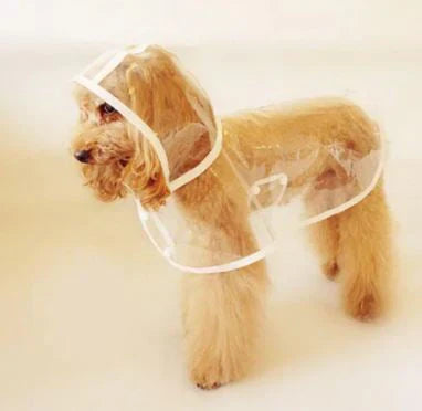 Waterproof transparent dog poncho with reflective trim, ensuring safety in low light.