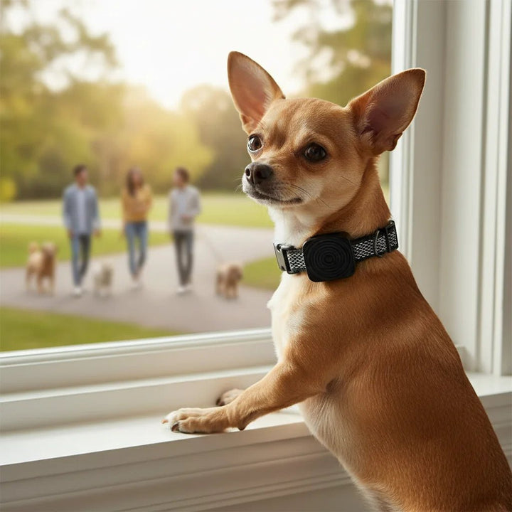 Anti-bark ultrasonic collar for dogs with charging cable, highlighting rechargeable pet safety device.