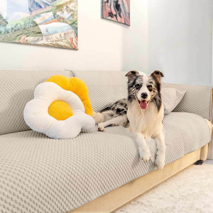 Ice silk anti-scratch sofa protector in a modern home, enhancing comfort and furniture longevity