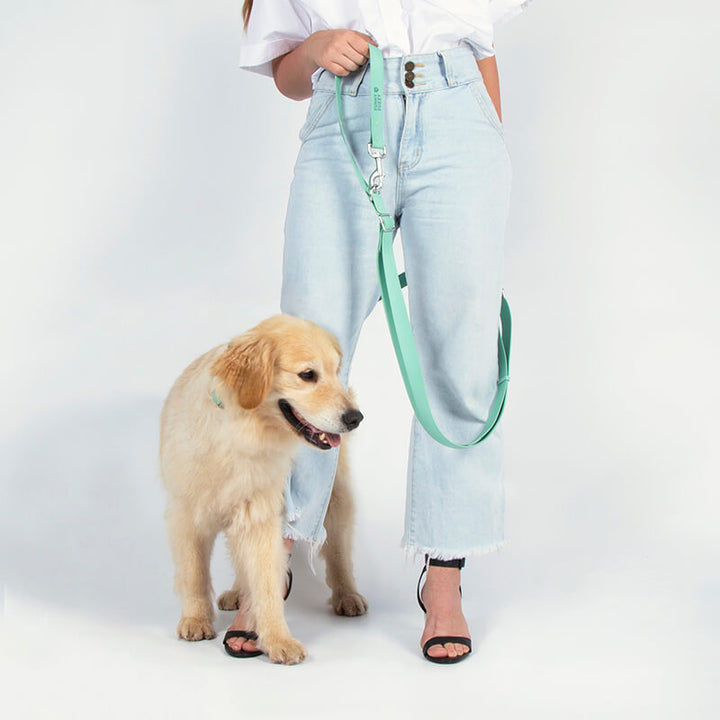 Close-up of flexible waterproof dog leash, antibacterial material, ideal pet accessory for wet conditions