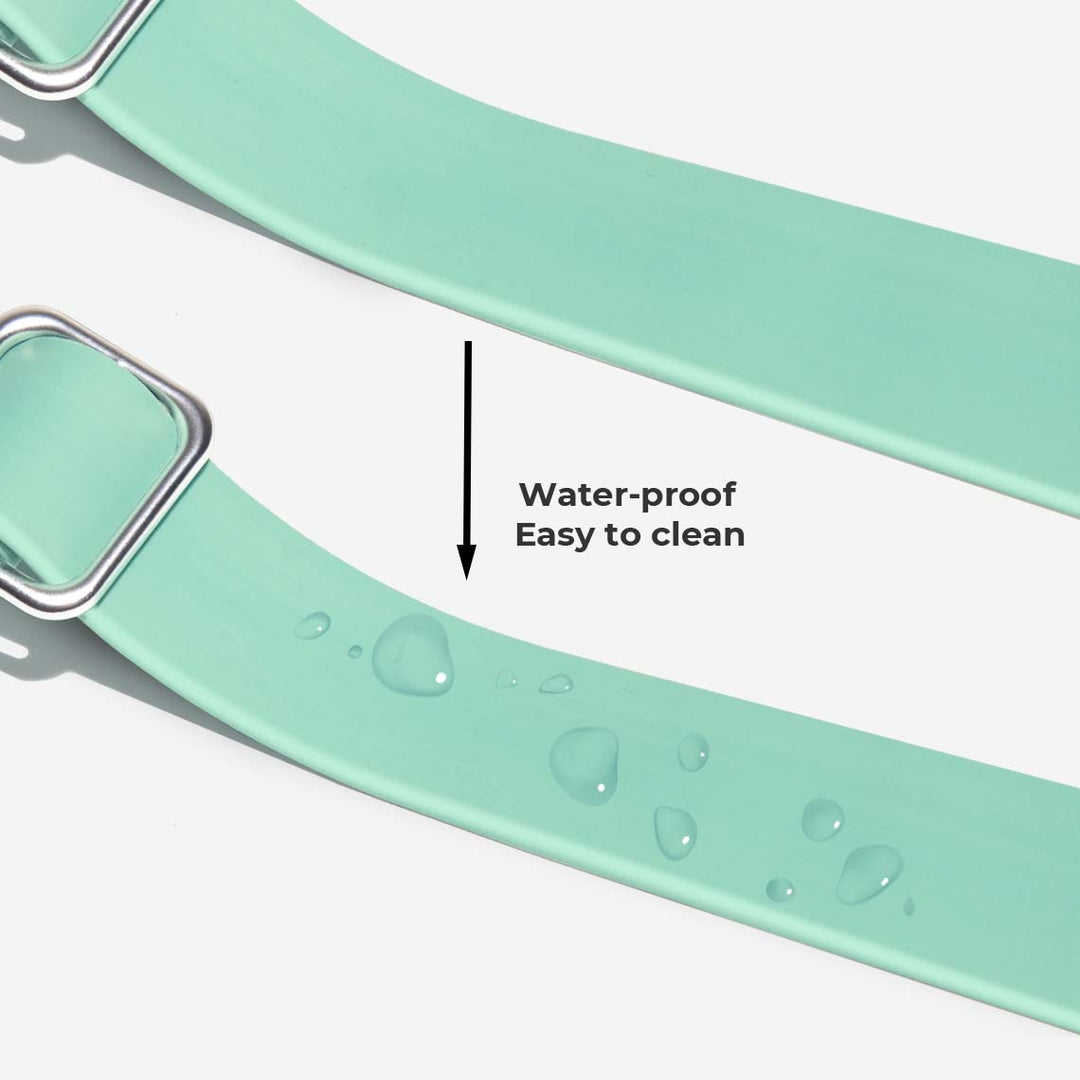 High-quality tear-proof dog leash, waterproof and antibacterial, essential dog accessory for all breeds