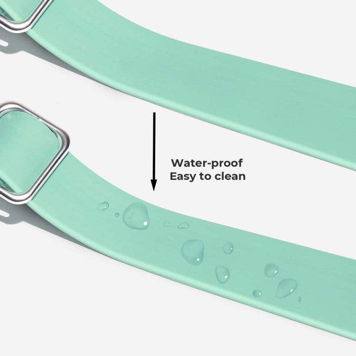 High-quality tear-proof dog leash, waterproof and antibacterial, essential dog accessory for all breeds
