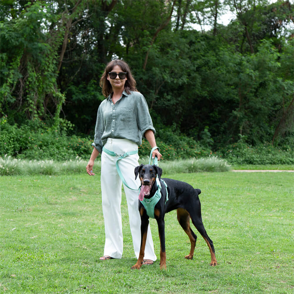 Pet supplies: waterproof and antibacterial dog leash, odor-resistant for daily use and adventures