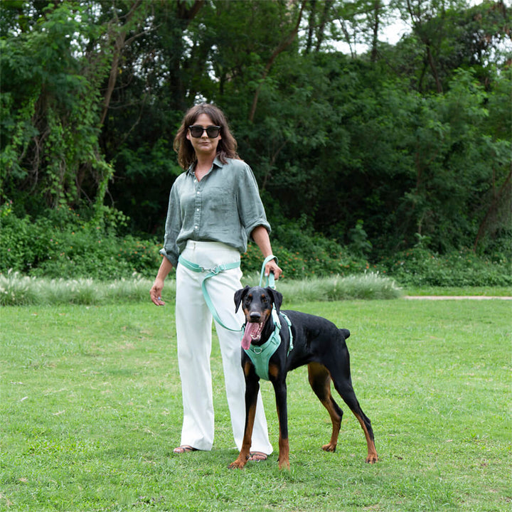 Pet supplies: waterproof and antibacterial dog leash, odor-resistant for daily use and adventures