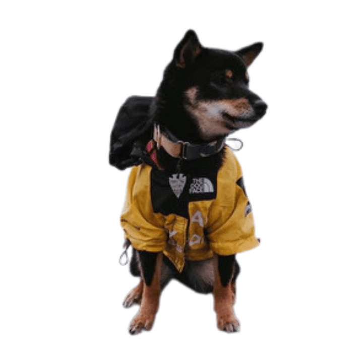 Waterproof dog raincoat with reflective trim, adjustable straps, perfect pet outdoor gear