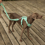 Mint Green Walk Set