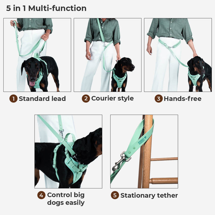 Unisex pet accessory: waterproof no-pull dog harness, leash, and collar combo