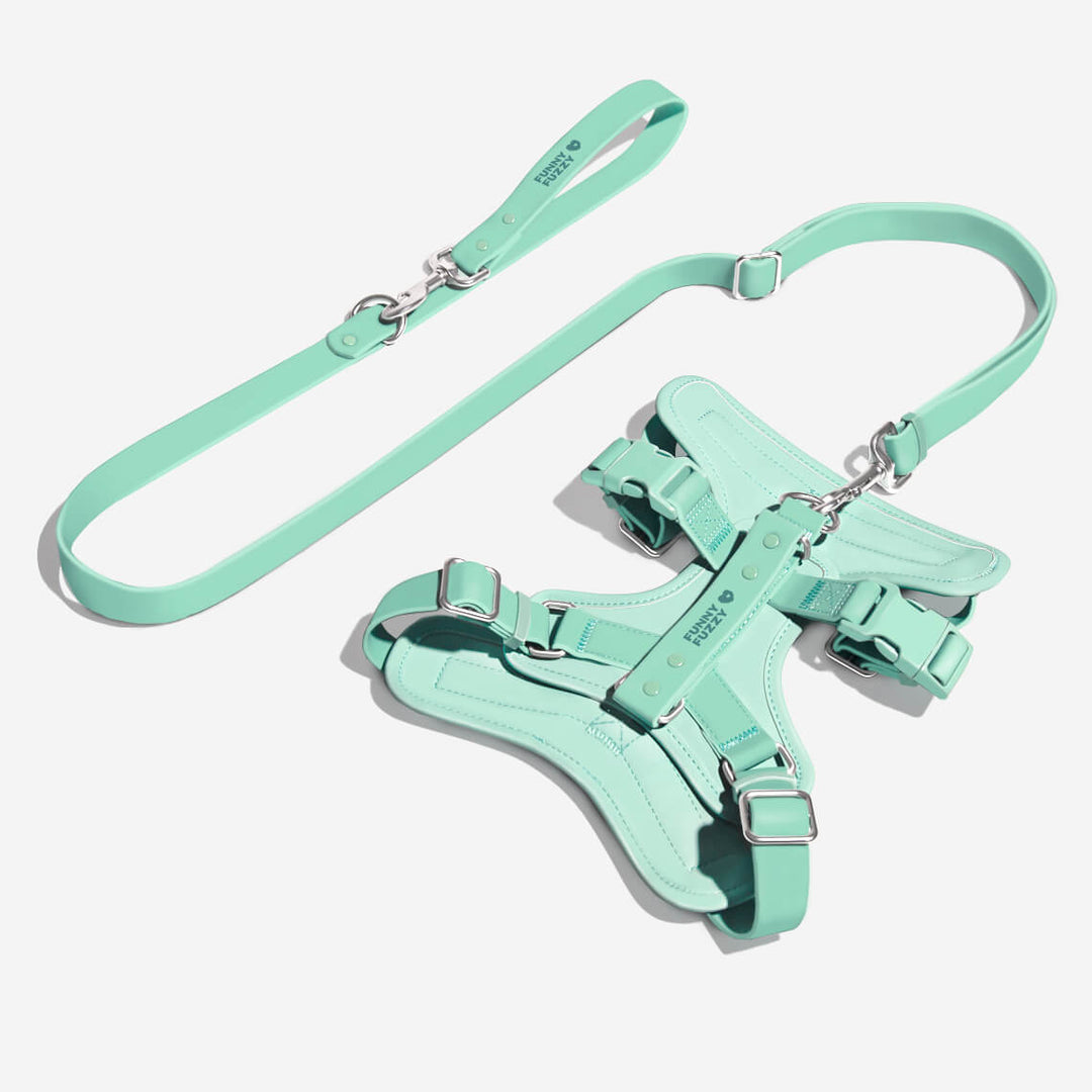 Lightweight waterproof dog harness and leash set, ideal for pet walking adventures