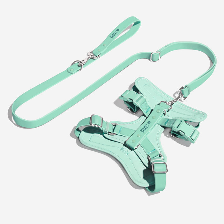 Lightweight waterproof dog harness and leash set, ideal for pet walking adventures