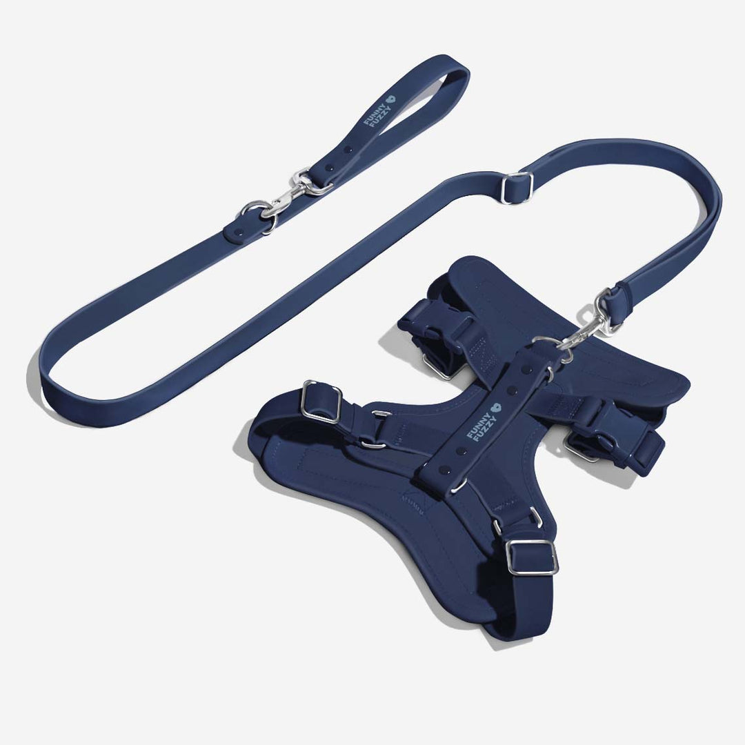 Antibacterial waterproof dog walk set with secure no-pull harness and long leash