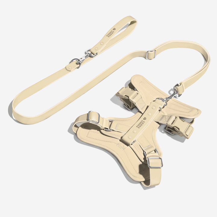 Premium waterproof dog supplies: no-pull harness and matching leash for safe walks