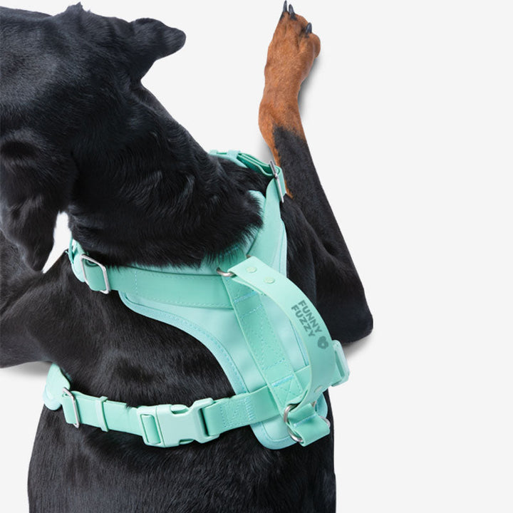 Durable no-pull dog harness and waterproof leash, essential pet supplies for walks