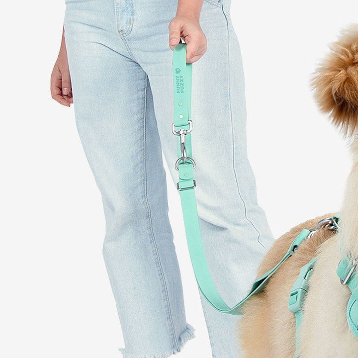 Complete waterproof dog walk set including an antibacterial collar and leash