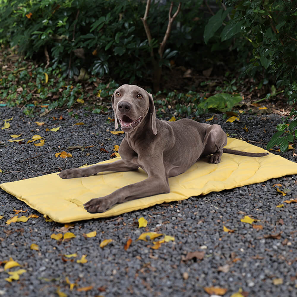 Unisex waterproof foldable pet car seat mat for dogs, perfect for travel & camping adventures.
