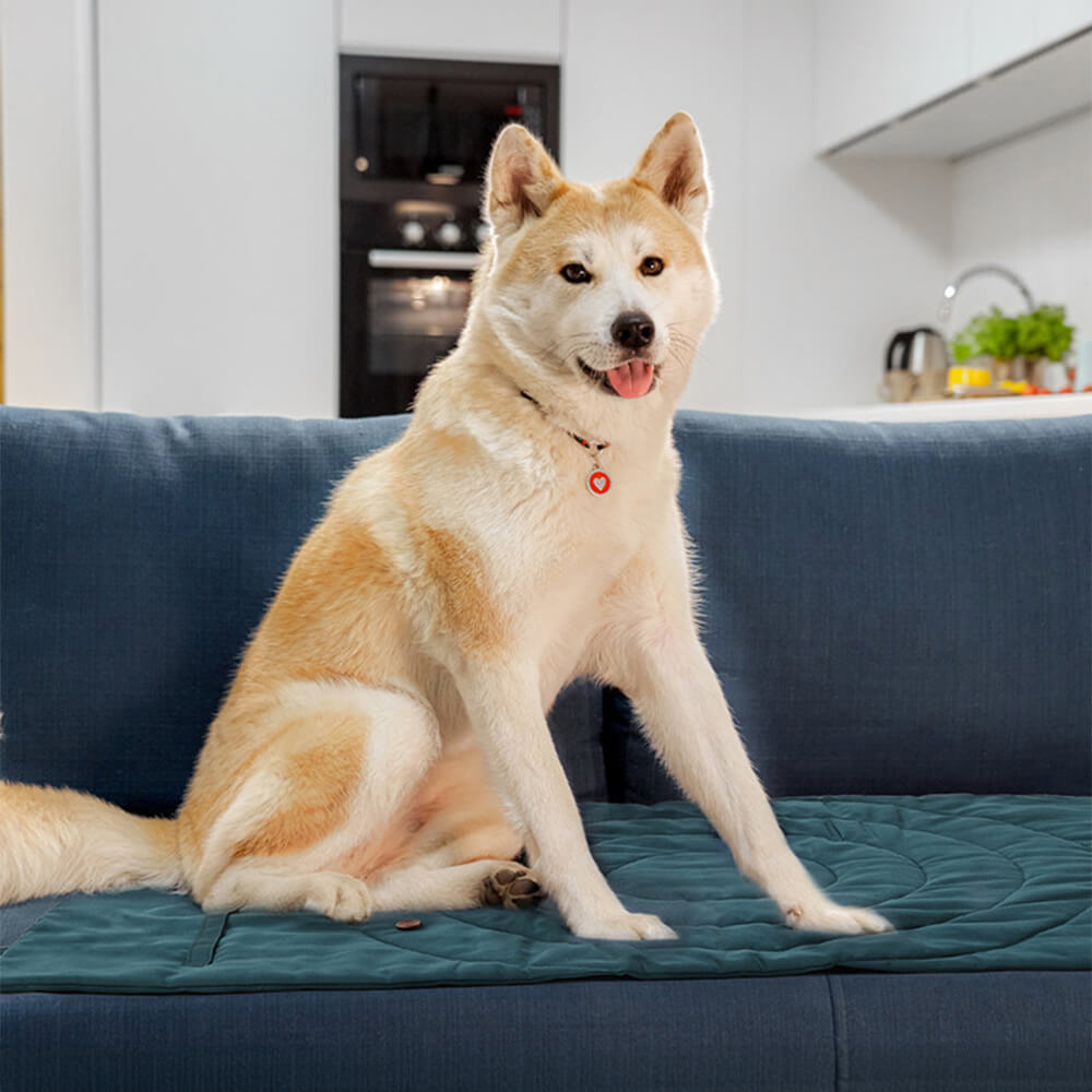 Versatile waterproof dog camping mat, foldable for portability and easy outdoor pet adventures.