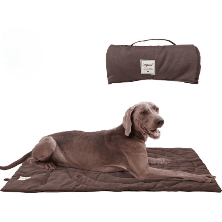 Dog comfortably resting on a waterproof pet mat, illustrating pet comfort & easy clean features.