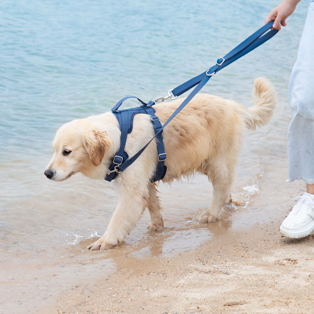 Detailed shot of the no-pull mechanism on a waterproof dog harness, pet supplies
