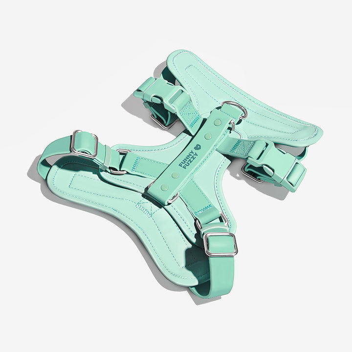 A dog owner easily adjusting a waterproof no-pull dog harness, durable and flexible