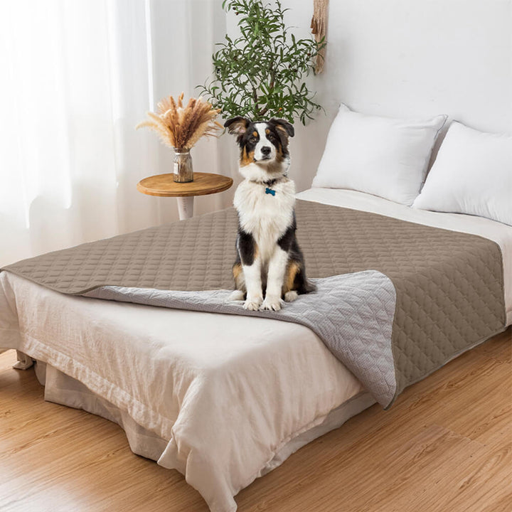 Waterproof non-slip diamond quilted pet couch cover in beige, protecting furniture from spills and pet hair