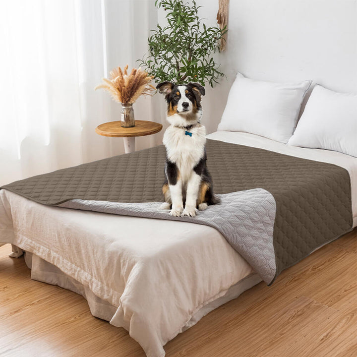 Set of different colors of unisex waterproof non-slip diamond quilted pet couch covers, versatile home decor