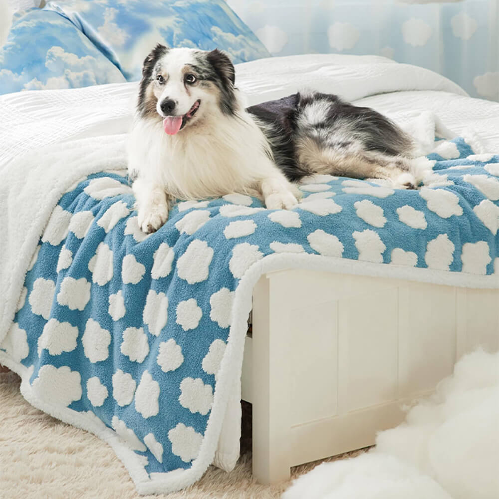 Close-up of a cozy, waterproof sherpa fleece pet blanket, showing soft texture and durable design.