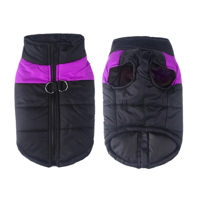 Stylish waterproof winter dog coat with warm lining, ideal for outdoor adventures