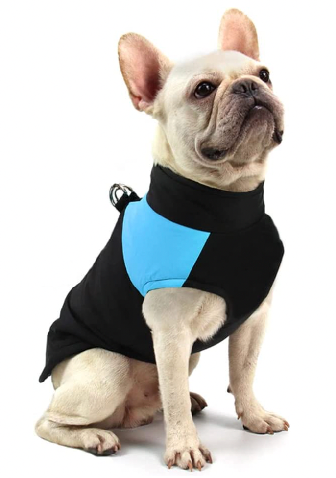 Blue waterproof pet coat for dogs, with warm lining, perfect for cold weather